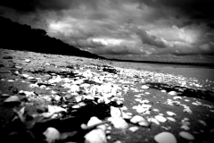 IMG_20170828_164327