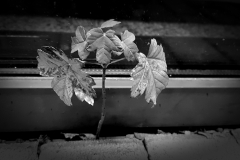 IMG_20170830_015453